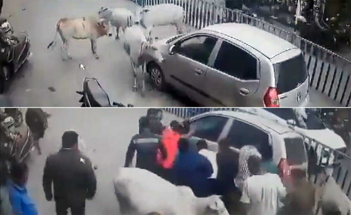 नोएडा हादसा सेक्टर 49 सड़क दुर्घटना दृश्य