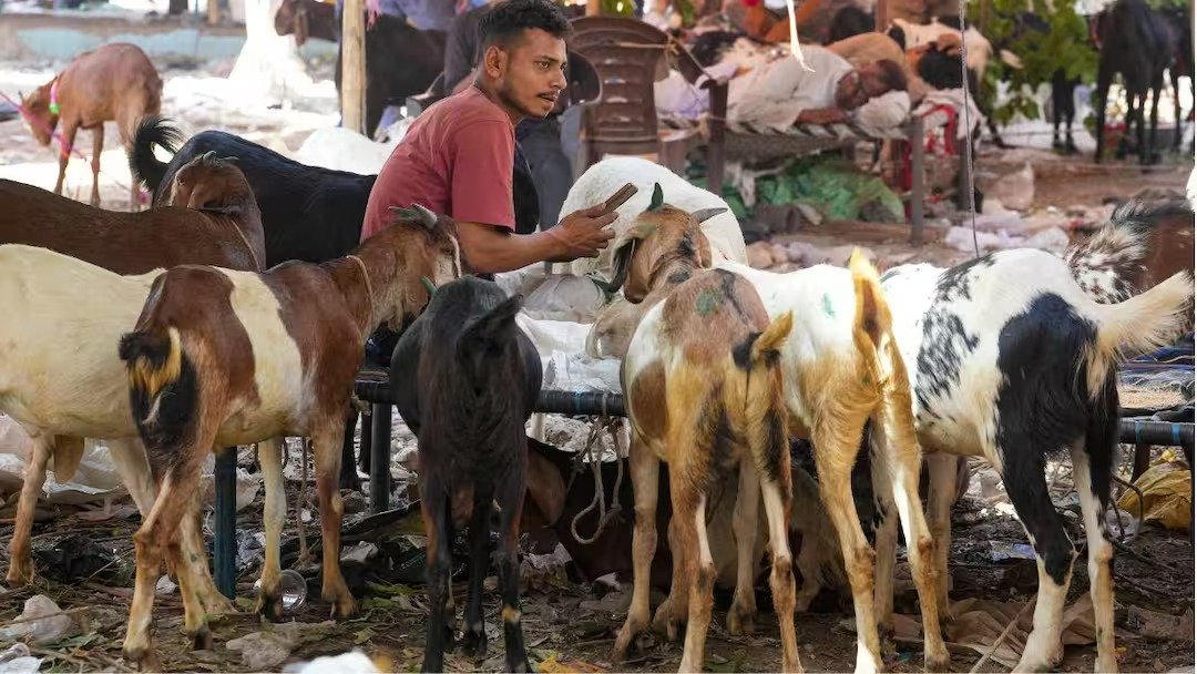 मिरा रोड तनाव के दौरान पुलिस तैनाती और विरोध प्रदर्शन का दृश्य