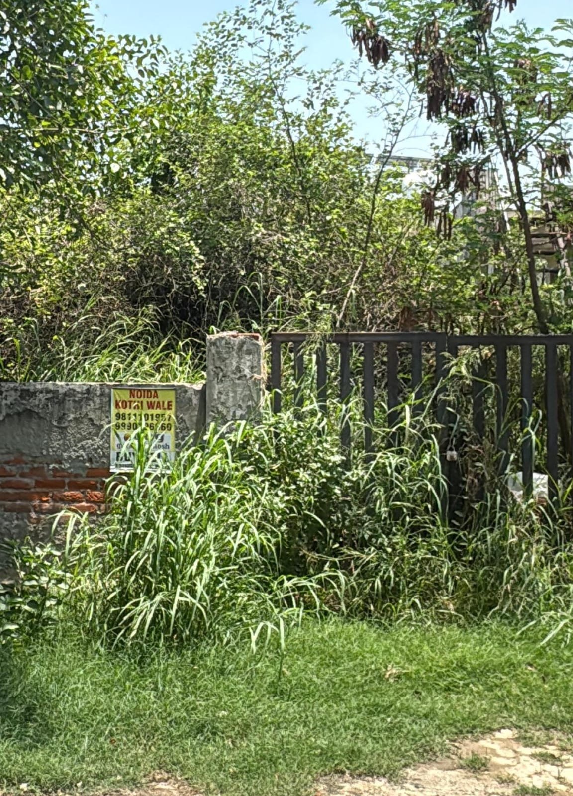 नोएडा सेक्टर-105 में जर्जर मकानों और झाड़-झंखाड़ से घिरे खाली भूखंड