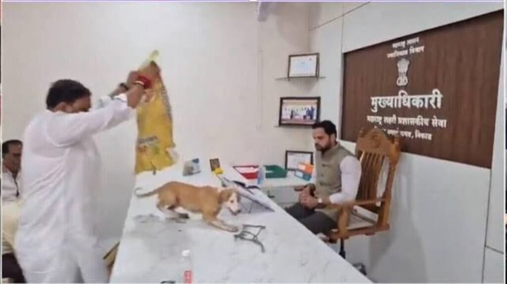 नाशिक आवारा कुत्ते समस्या को लेकर निफाड़ नगर पंचायत कार्यालय में पिल्लों के साथ अनोखा विरोध प्रदर्शन